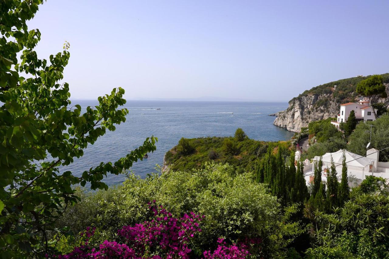 La Rosa Dei Venti Villa Massa Lubrense Exterior foto